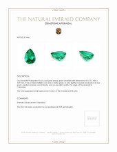0.62 Ct. Emerald from Colombia Appraisal