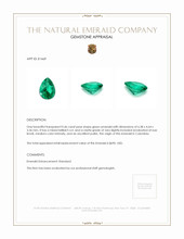 0.46 Ct. Emerald from Colombia Appraisal