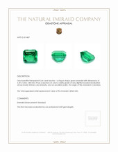 0.64 Ct. Emerald from Colombia Appraisal