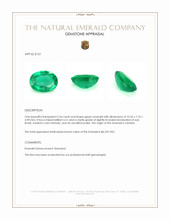 2.54 Ct. Emerald from Zambia Appraisal