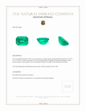 0.87 Ct. Emerald from Zambia Appraisal