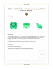 2.73 Ct. Emerald from Zambia Appraisal