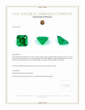 0.79 Ct. Emerald from Colombia Appraisal