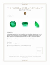 1.67 Ct. Emerald from Zambia Appraisal