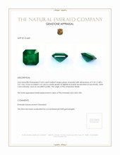3.02 Ct. Emerald from Brazil Appraisal