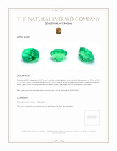 3.87 Ct. Emerald from Colombia Appraisal
