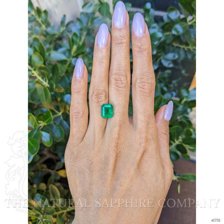 3.70 Ct. Emerald from Colombia