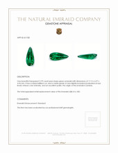 2.99 Ct. Emerald from Zambia Appraisal