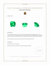 6.56 Ct. Emerald from Colombia Appraisal