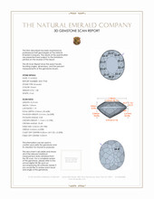 Jewelry 3 D Scan Report
