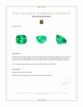 4.83 Ct. Emerald from Colombia Appraisal