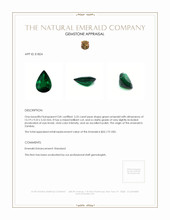 Jewelry Appraisal