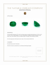 2.95 Ct. Emerald from Zambia Appraisal