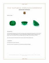 2.95 Ct. Emerald from Zambia Appraisal
