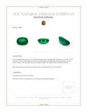 3.79 Ct. Emerald from Zambia Appraisal