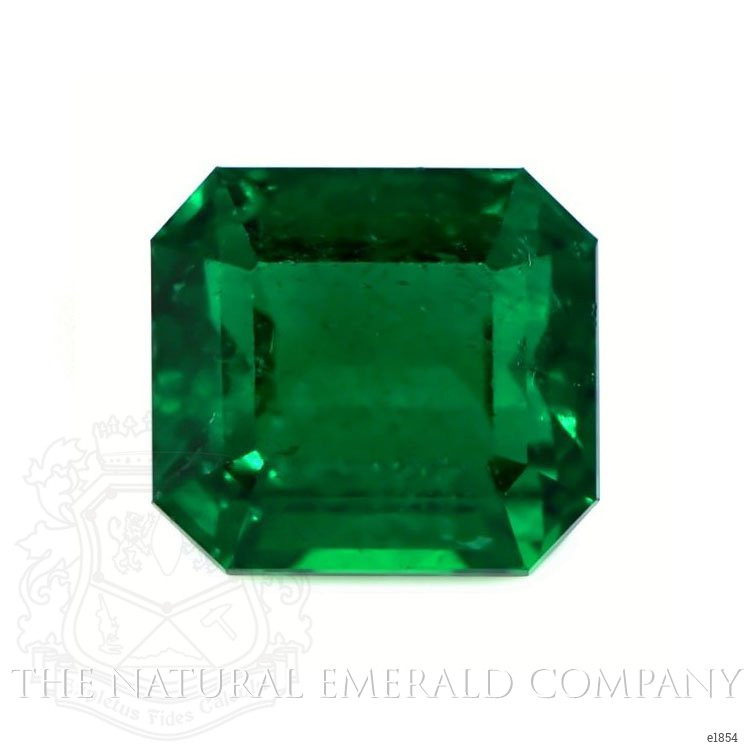 Loose Emerald - Emerald Cut 6.88 Ct. - #E1854 | The Natural Emerald Company