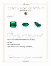2.75 Ct. Emerald from Zambia Appraisal