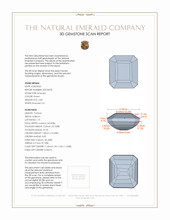 Jewelry 3 D Scan Report