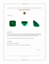 3.03 Ct. Emerald from Zambia Appraisal