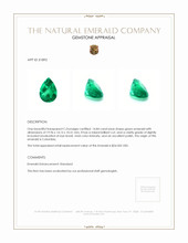 14.84 Ct. Emerald from Colombia Appraisal