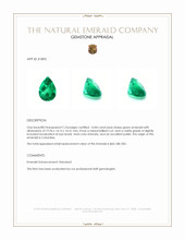 14.84 Ct. Emerald from Colombia Appraisal