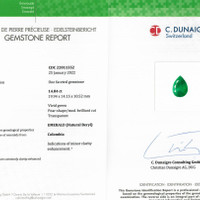 14.84 Ct. Emerald from Colombia Scan Report