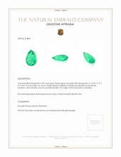 3.82 Ct. Emerald from Colombia Appraisal