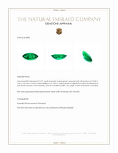 2.97 Ct. Emerald from Colombia Appraisal