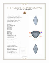 Jewelry 3 D Scan Report