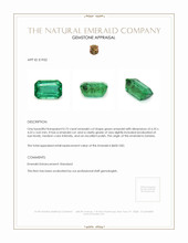 0.75 Ct. Emerald from Zambia Appraisal