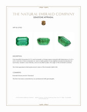 0.75 Ct. Emerald from Zambia Appraisal