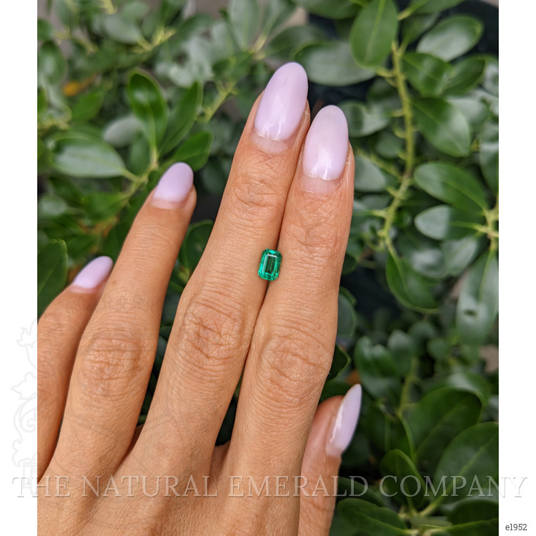 0.75 Ct. Emerald from Zambia