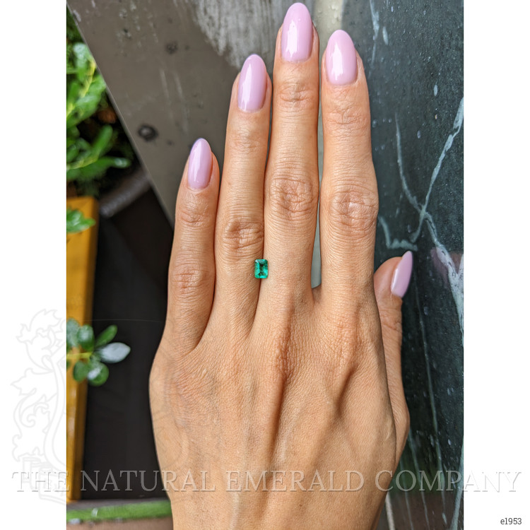 0.53 Ct. Emerald from Zambia