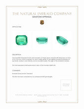 0.68 Ct. Emerald from Zambia Appraisal