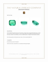 0.68 Ct. Emerald from Zambia Appraisal