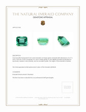 0.43 Ct. Emerald from Zambia Appraisal