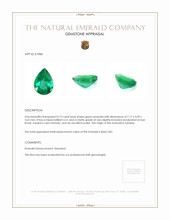 Jewelry Appraisal