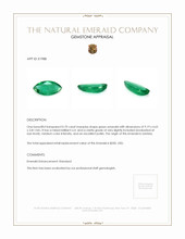 Jewelry Appraisal
