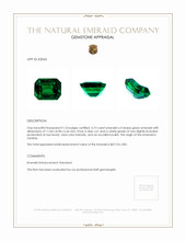 4.73 Ct. Emerald from Zambia Appraisal