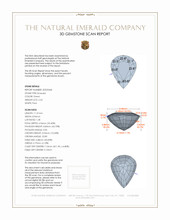 Jewelry 3 D Scan Report