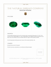 4.85 Ct. Emerald from Zambia Appraisal