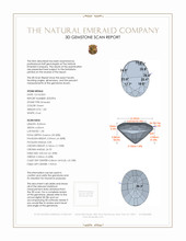 Jewelry 3 D Scan Report