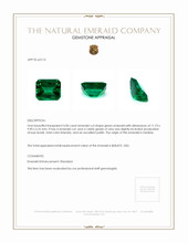 5.00 Ct. Emerald from Zambia Appraisal
