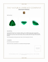 Jewelry Appraisal