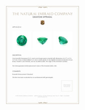 0.41 Ct. Emerald from Zambia Appraisal