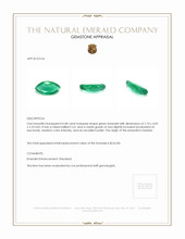 0.48 Ct. Emerald from Zambia Appraisal