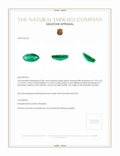 0.48 Ct. Emerald from Zambia Appraisal