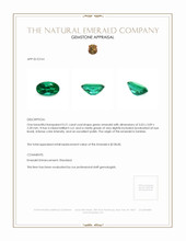 0.21 Ct. Emerald from Zambia Appraisal