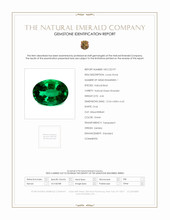 Jewelry Scan Report