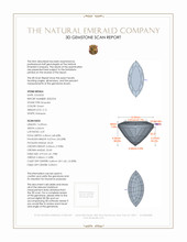 Jewelry 3 D Scan Report